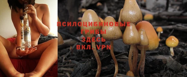 герыч Алексин