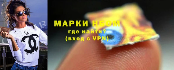 индика Алзамай