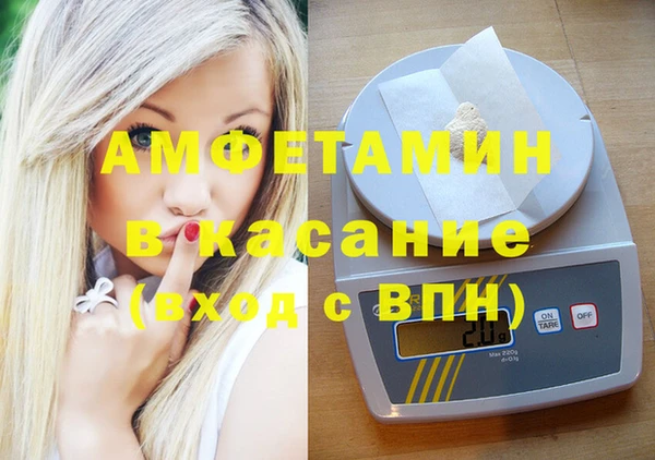 индика Алзамай